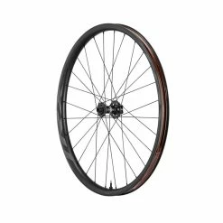 Giant TRX 2 MTB Carbon 29 - Ruota Anteriore