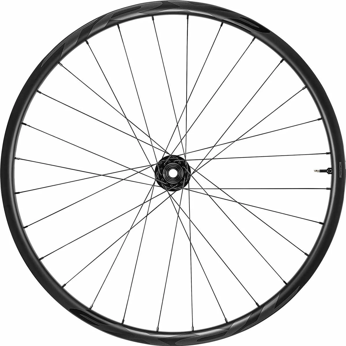 Giant TRX 2 MTB Carbon 29 - Ruota Anteriore - immagine 2