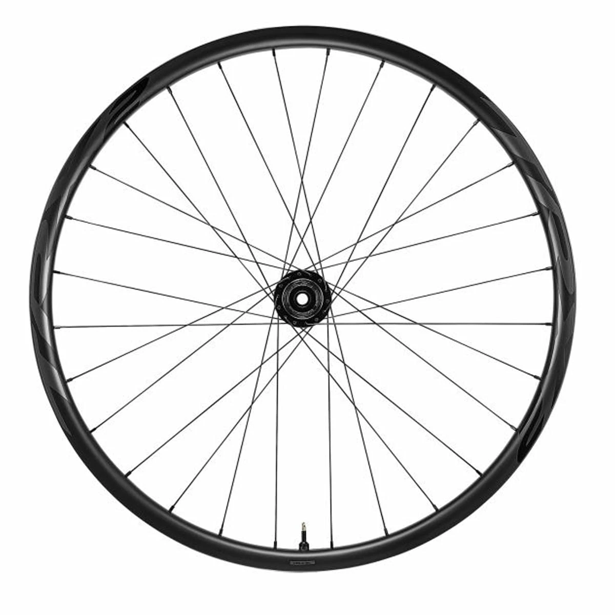 Giant TRX 2 MTB Carbon 29 - Ruota Posteriore - immagine 2