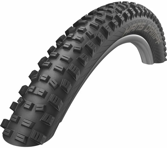 Schwalbe Pneumatico Pieghevole Hans Dampf - TL Ready - Addix Performance