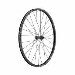 Dt-swiss M 1900 Spline DB Ruota Anteriore Da 29 Pollici, Lega Da 30 Mm, Bloccaggio Centrale, 110/15 Mm Boost TA