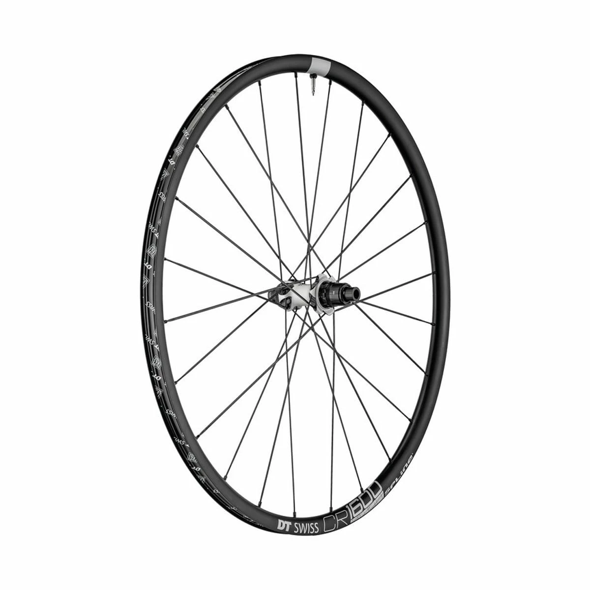 Dt-swiss CR 1600 Spline DB Ruota Posteriore Da 28 Pollici, 23mm In Lega, Centrelock, Sram XDR, 142/12mm TA