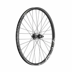 Dt-swiss Ruota Posteriore FR 1950 Classic DB 29 Pollici, Lega 30mm, IS-6hole, Shimano, 148/12mm TA